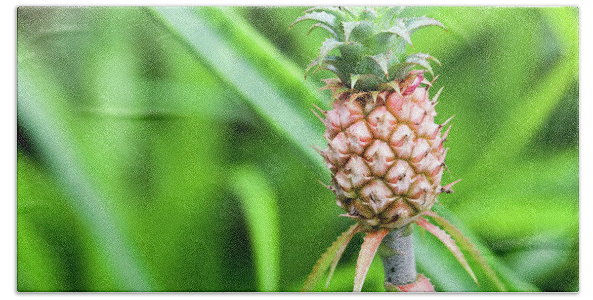 Pineapple Bath Towel featuring the photograph Dwarf Pineapple by Mary Anne Delgado