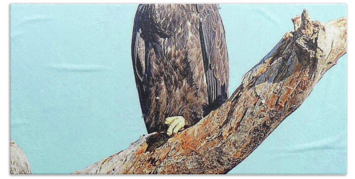 Bald Eagle Bath Towel featuring the photograph E9 favorite perch by Liz Grindstaff