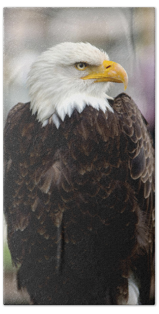 Eagle Bath Towel featuring the photograph Eagle by Doug Gibbons