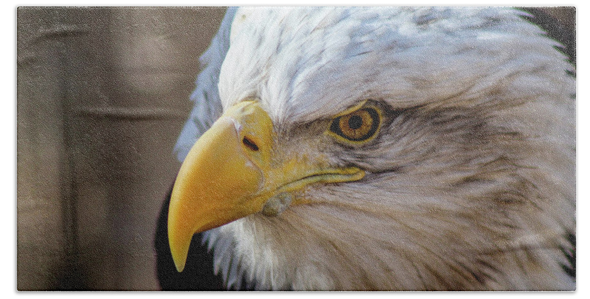 Bald Eagle Hand Towel featuring the photograph Eagle Eye by Holly Ross