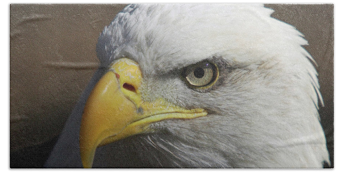 Eagle Hand Towel featuring the photograph Eagle Eye by Steve Stuller
