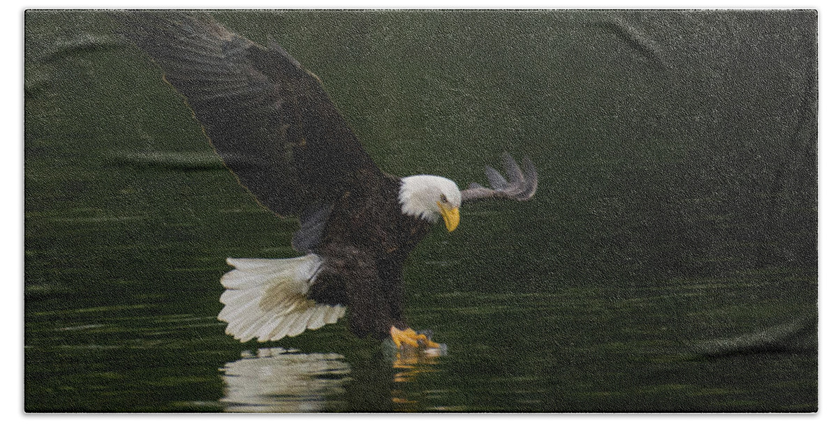 Bald Eagle Bath Towel featuring the photograph Eagle on the Skagit River by John Greco