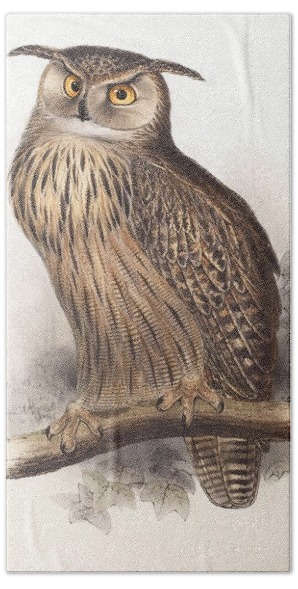 Edward Lear Bath Towel featuring the painting Eagle Owl by Edward Lear