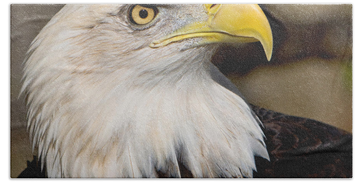 Eagle Hand Towel featuring the photograph Eagle Power by William Jobes