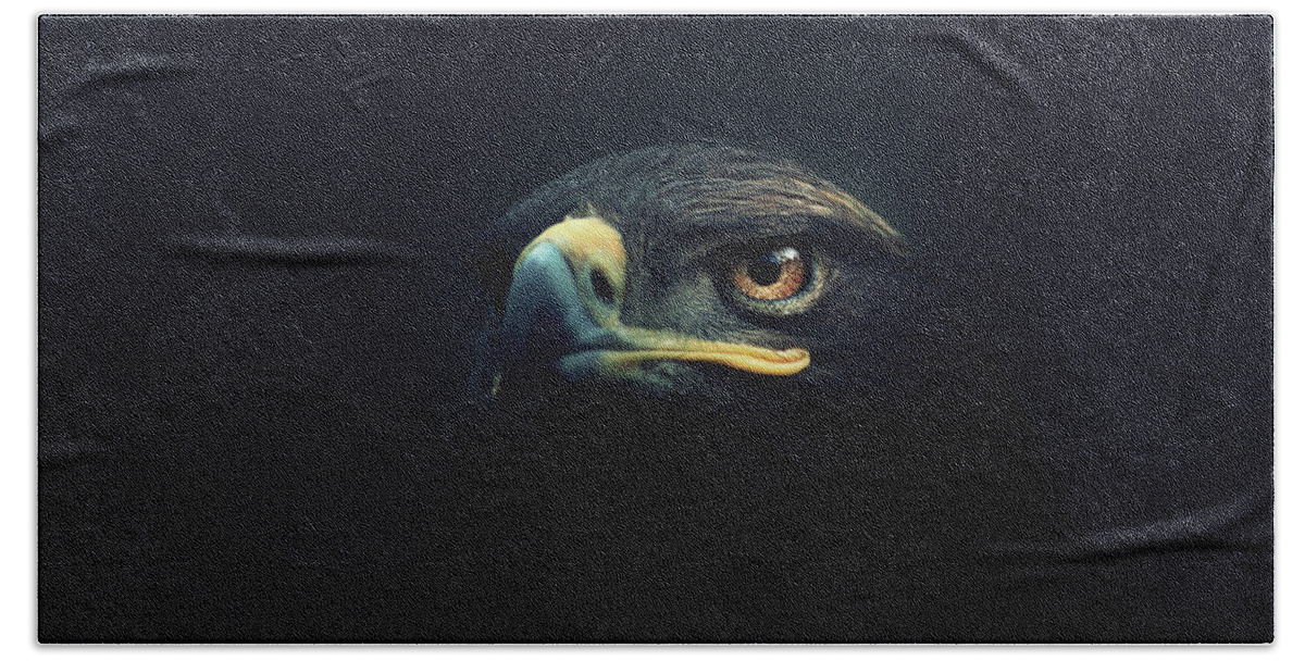 Animal Hand Towel featuring the photograph Eagle by Zoltan Toth