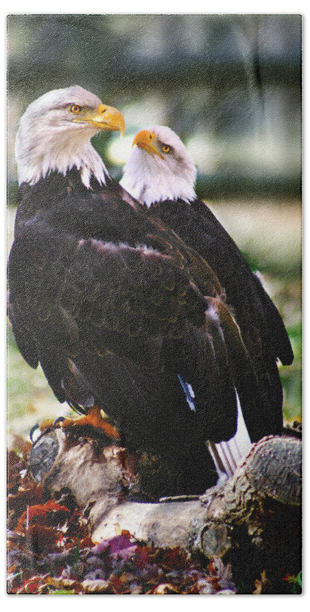 Eagles Bath Towel featuring the photograph Eagles by Anthony Jones
