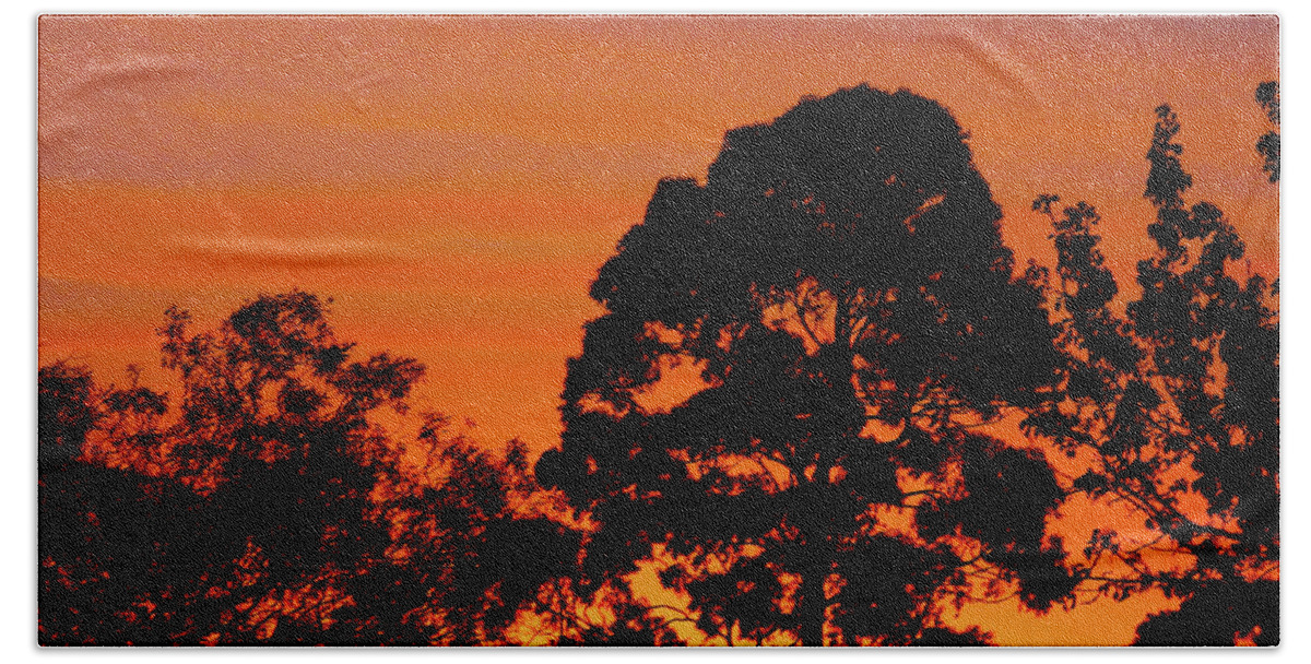Sunrise Bath Towel featuring the photograph Early Dawn by Mark Blauhoefer