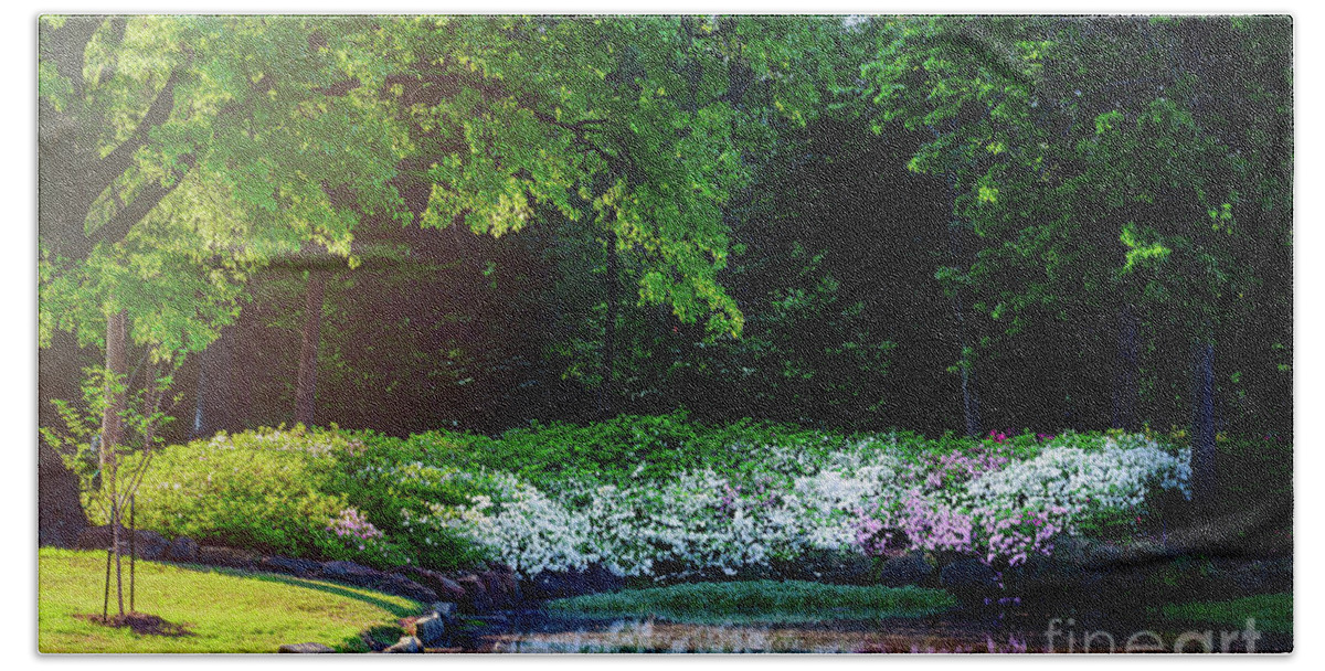 Tamyra Bath Towel featuring the photograph Early Morning Light at the Azalea Pond by Tamyra Ayles