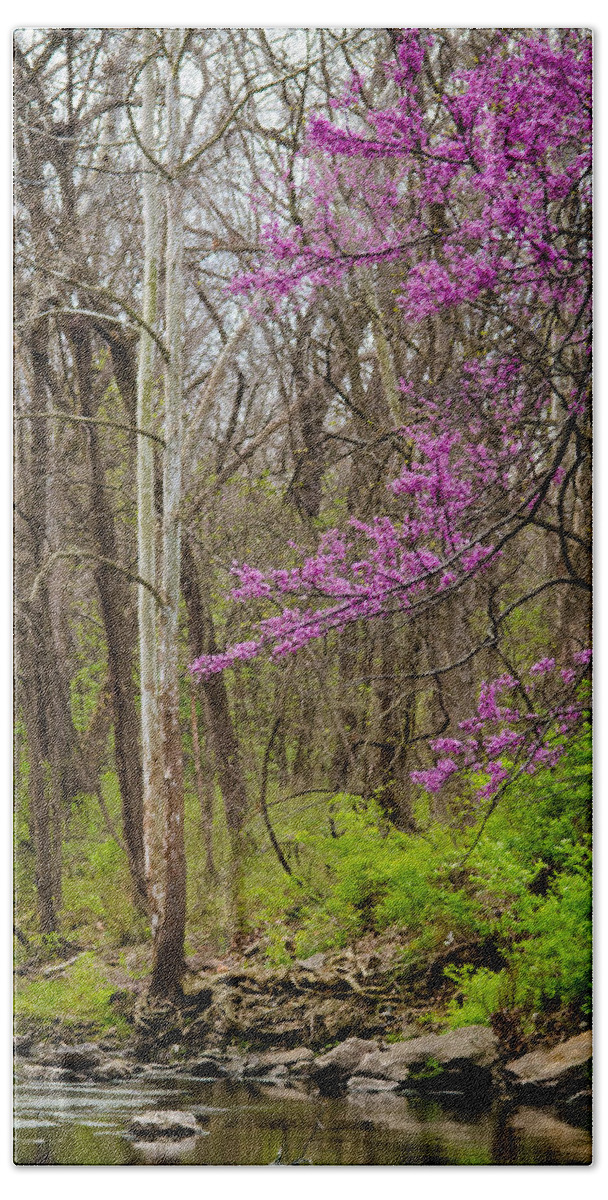 Nature Bath Towel featuring the photograph Early Spring on Mill Creek by Jeff Phillippi