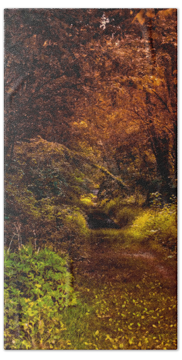 Autumn Bath Towel featuring the photograph Earth Tones In A Illinois Woods by Thomas Woolworth