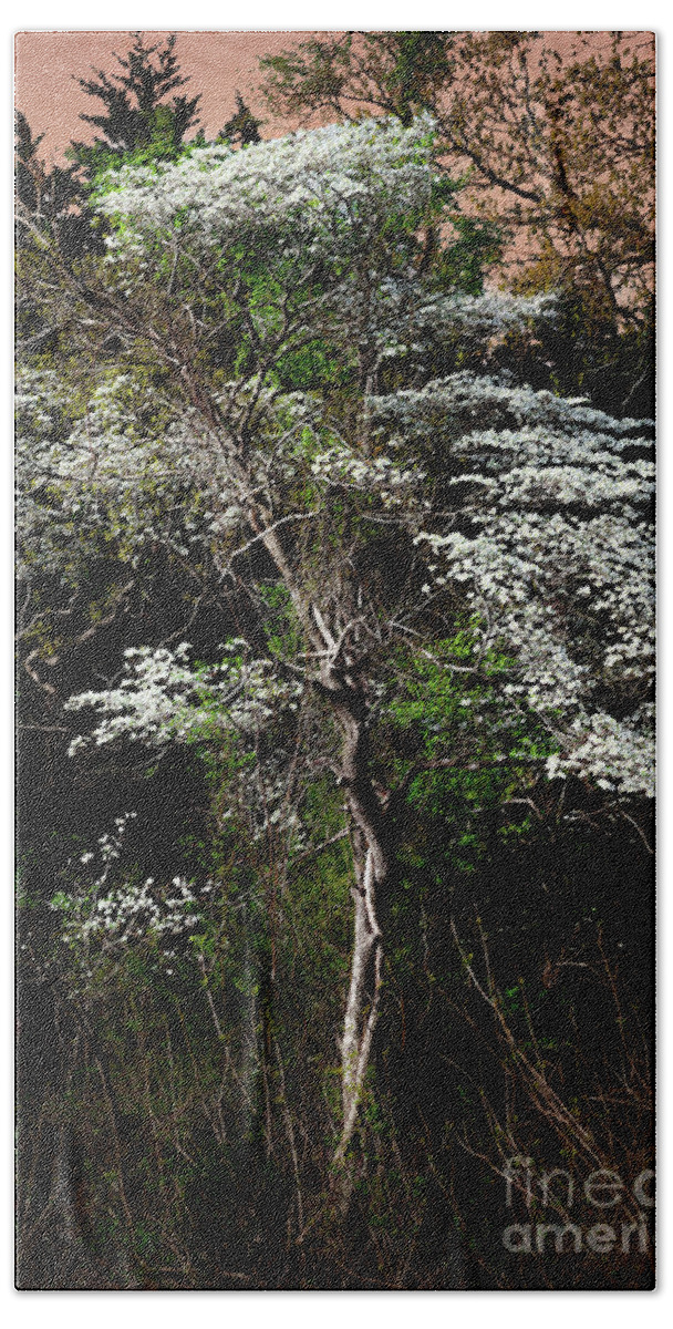 Morning Bath Towel featuring the photograph Easter Dogwood by Tamyra Ayles