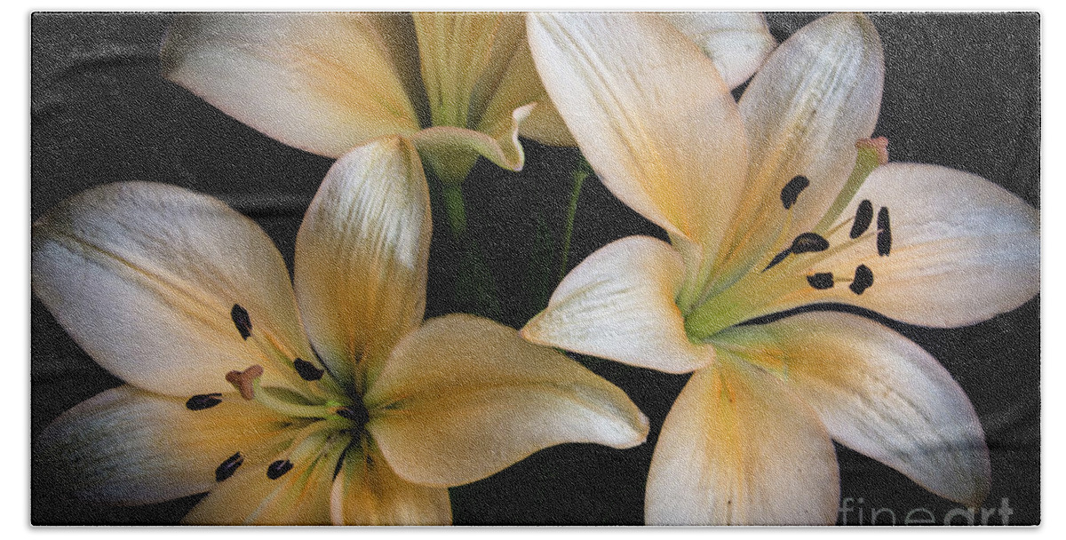 Closeup Hand Towel featuring the photograph Easter Lilies by Deborah Klubertanz