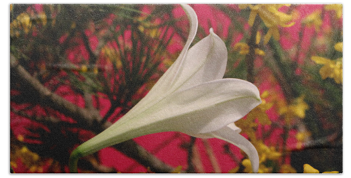 Easter Bath Towel featuring the photograph Easter Lily Without Text by Living Color Photography Lorraine Lynch