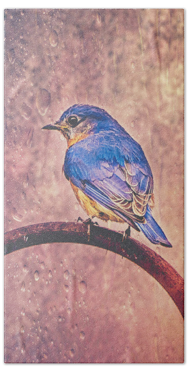 Birds Hand Towel featuring the photograph Eastern Bluebird In The Rain by Cynthia Wolfe