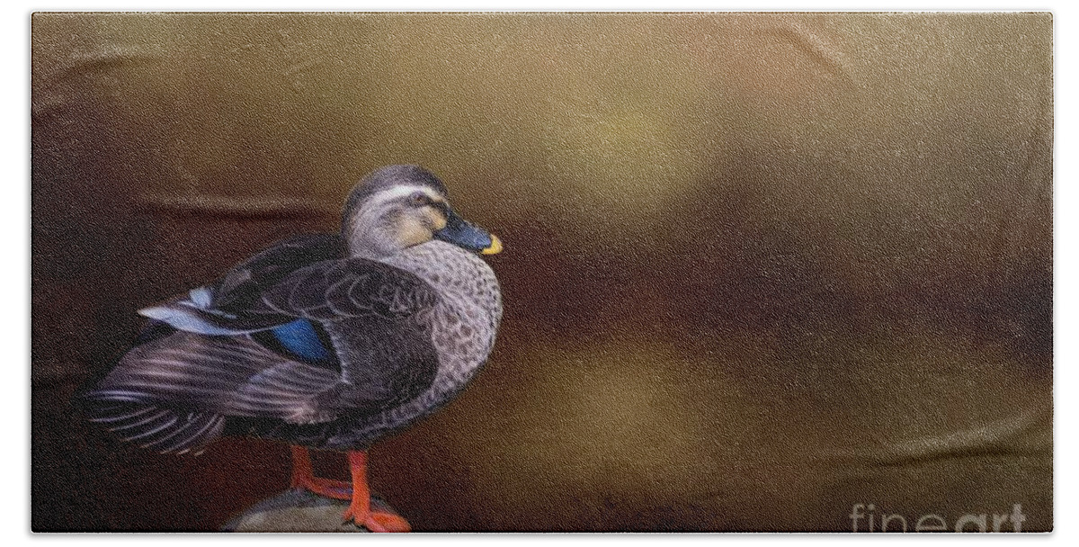 Eastern Spot-billed Duck Hand Towel featuring the photograph Eastern Spot-billed Duck by Eva Lechner
