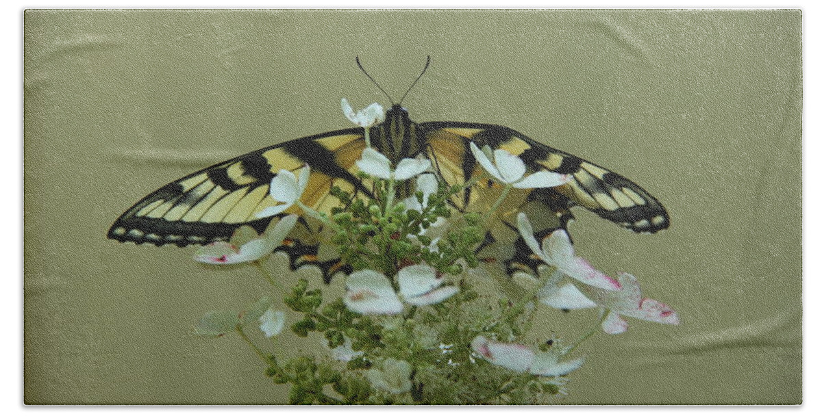 Eastern Tiger Swallowtail Butterfly Bath Towel featuring the photograph Eastern Tiger Swallowtail Butterfly by Allen Nice-Webb