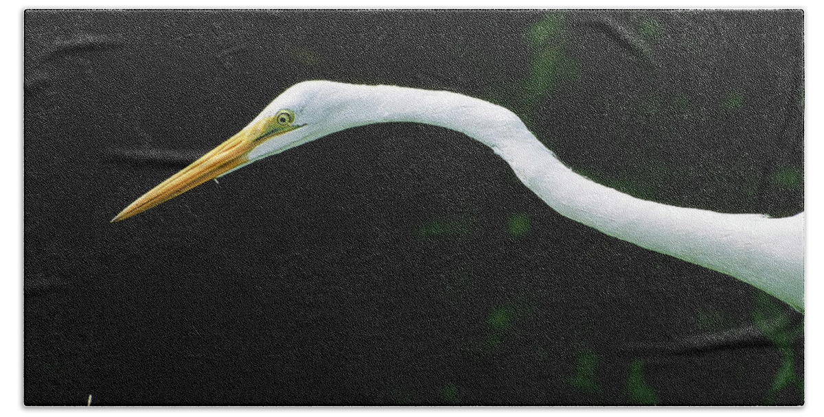 Egret Bath Towel featuring the photograph Egret 1 by Ted Keller