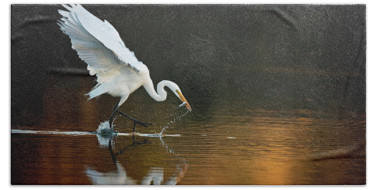 Egret Hand Towel featuring the photograph Egret at Sunset by Eilish Palmer