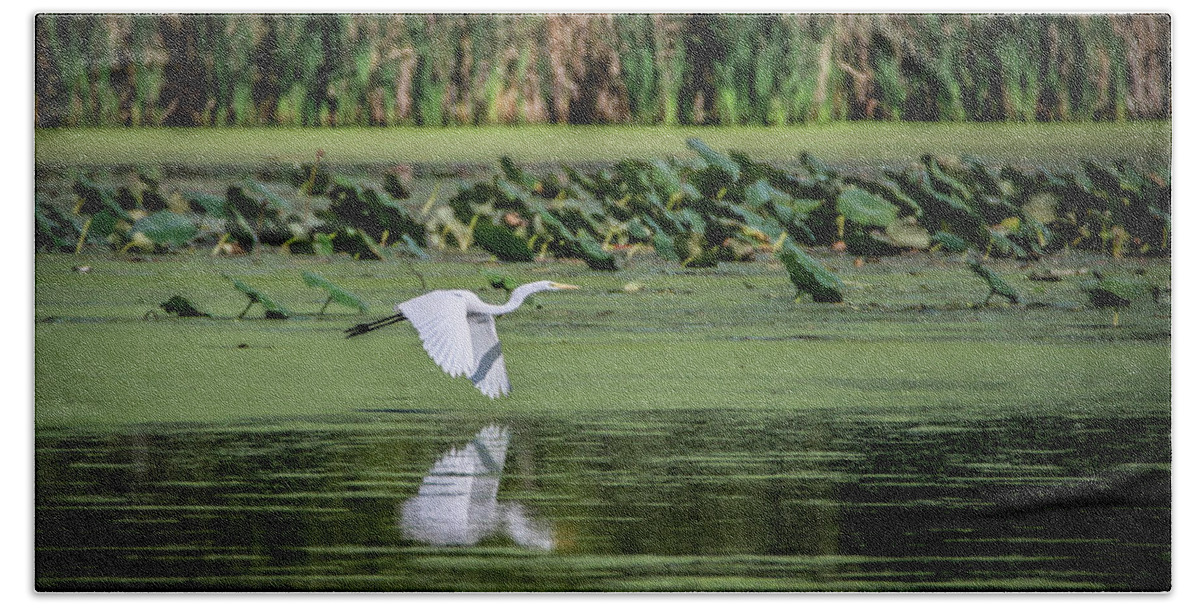 Egret Bath Towel featuring the photograph Egret Over Wetland by Ray Congrove