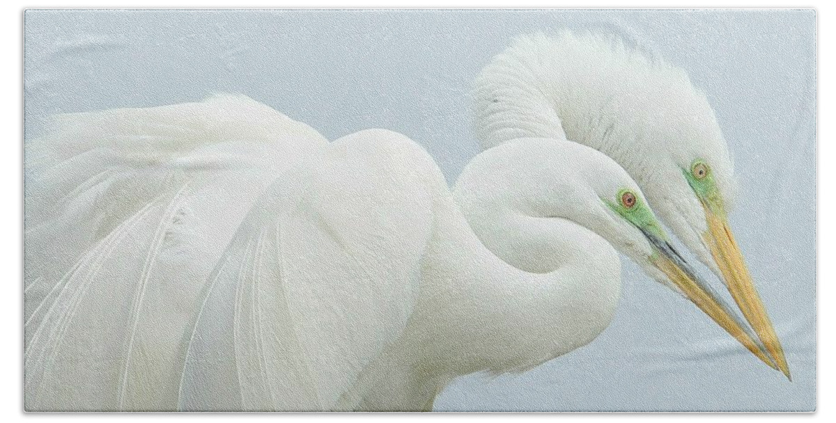 Great Egrets Bath Towel featuring the photograph Egrets In Love 2 by Fraida Gutovich