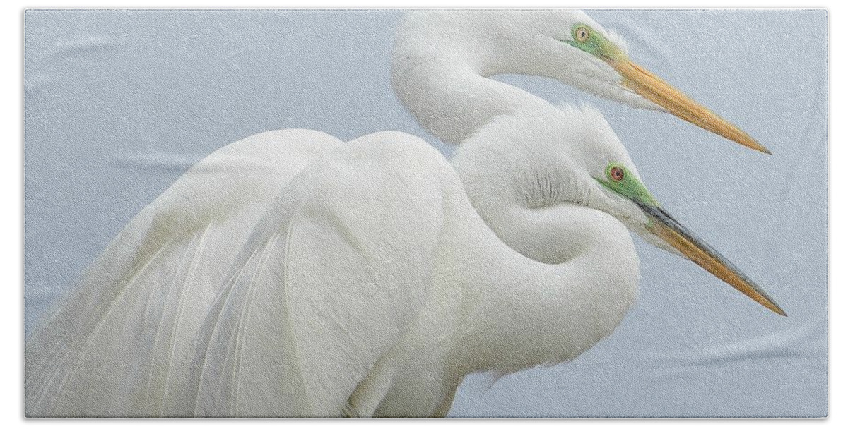 Great Egrets Bath Towel featuring the photograph Egrets In Love by Fraida Gutovich