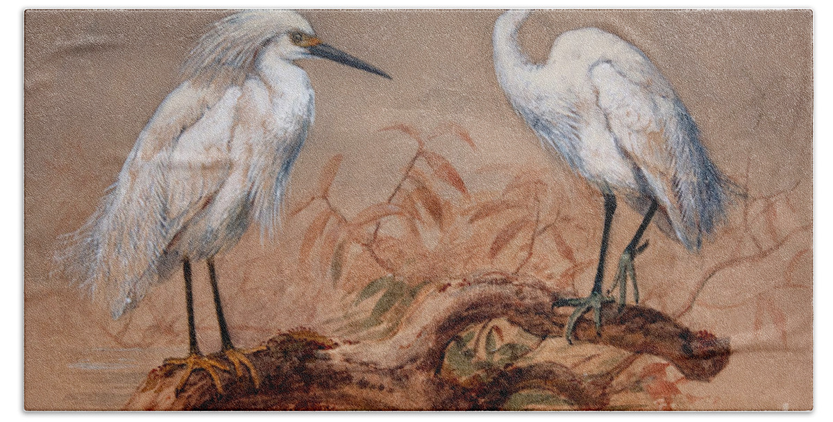 Egrets Hand Towel featuring the painting Egrets by Joseph Wolf