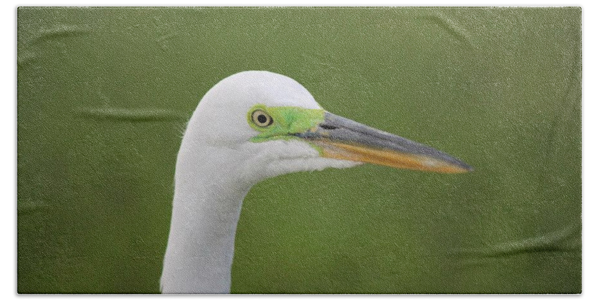 Egret Bath Sheet featuring the photograph Egret's Mask of Chartreuse by Barbara Chichester