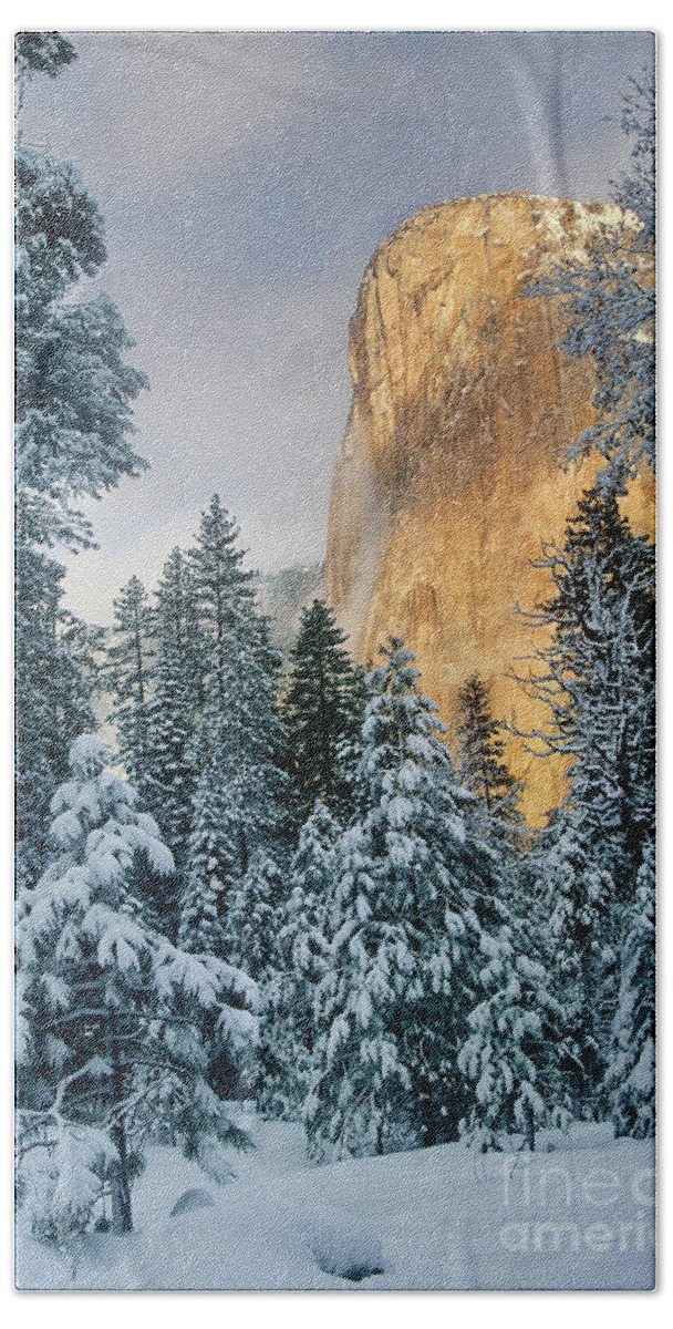 North America Bath Towel featuring the photograph El Capitan on a Winter Morning Yosemite National Park California by Dave Welling