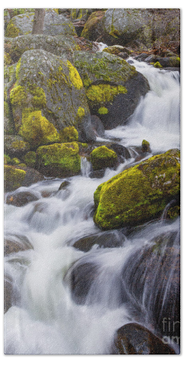 Yosemite Bath Towel featuring the photograph Electric Green by Anthony Michael Bonafede