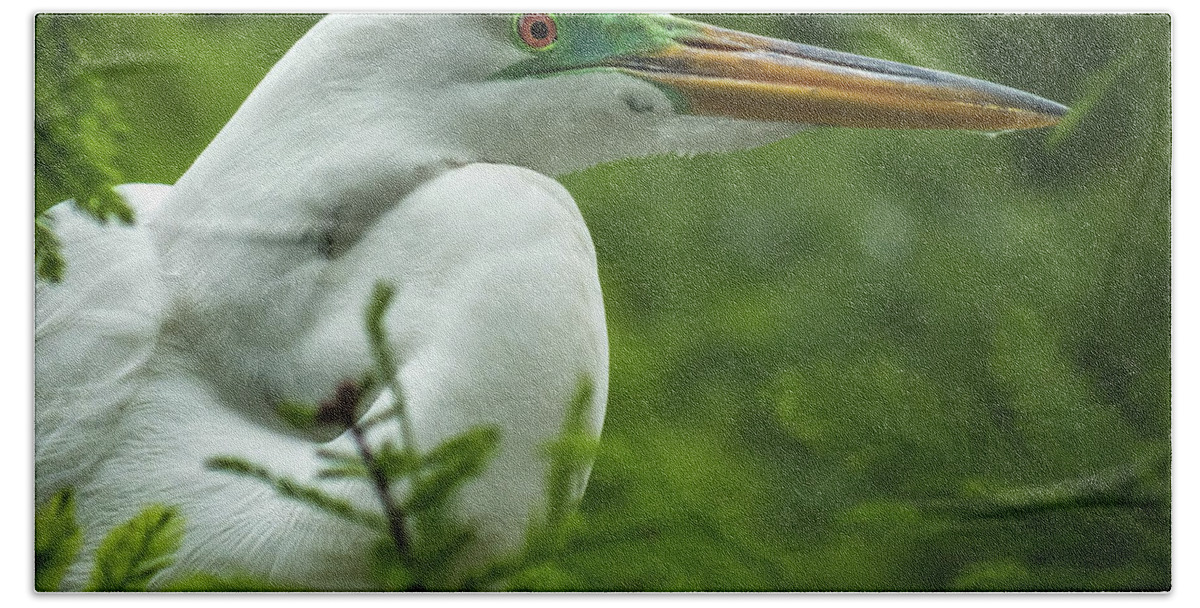 White Egret Portraits Bath Towel featuring the photograph ELEGANCE in CYPRESS by Karen Wiles