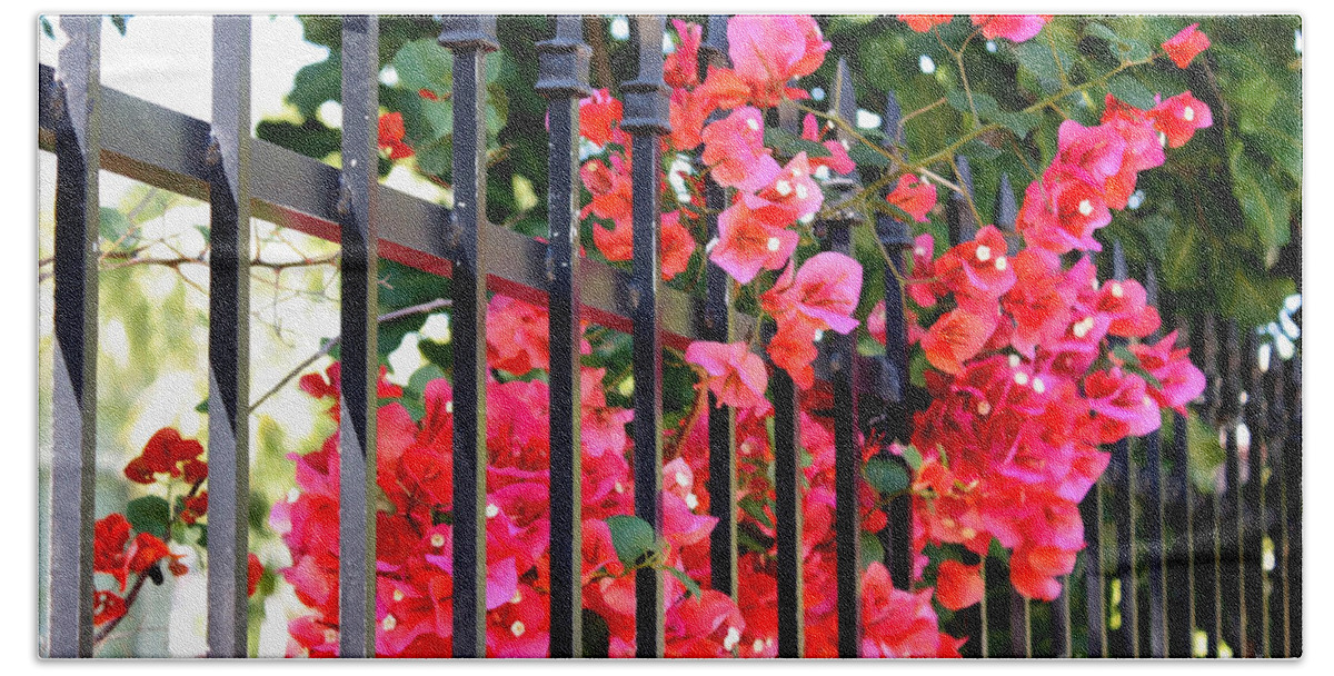 Garden Hand Towel featuring the photograph Elegant Fence by Carol Groenen
