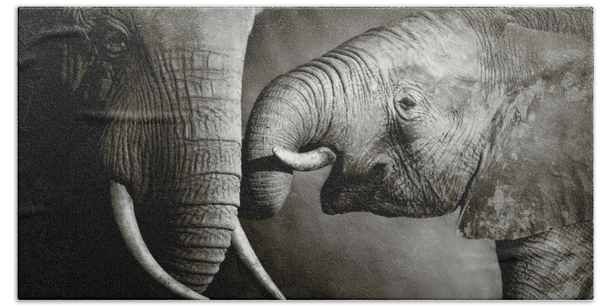 Elephant; Interact; Touch; Gently; Trunk; Young; Large; Small; Big; Tusk; Together; Togetherness; Passionate; Affectionate; Behavior; Art; Artistic; Black; White; B&w; Monochrome; Image; African; Animal; Wildlife; Wild; Mammal; Animal; Two; Moody; Outdoor; Nature; Africa; Nobody; Photograph; Addo; National; Park; Loxodonta; Africana; Muddy; Caring; Passion; Affection; Show; Display; Reach Bath Towel featuring the photograph Elephant affection by Johan Swanepoel