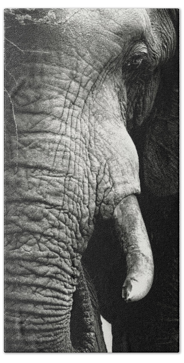 Elephant Bath Sheet featuring the photograph Elephant close-up portrait by Johan Swanepoel