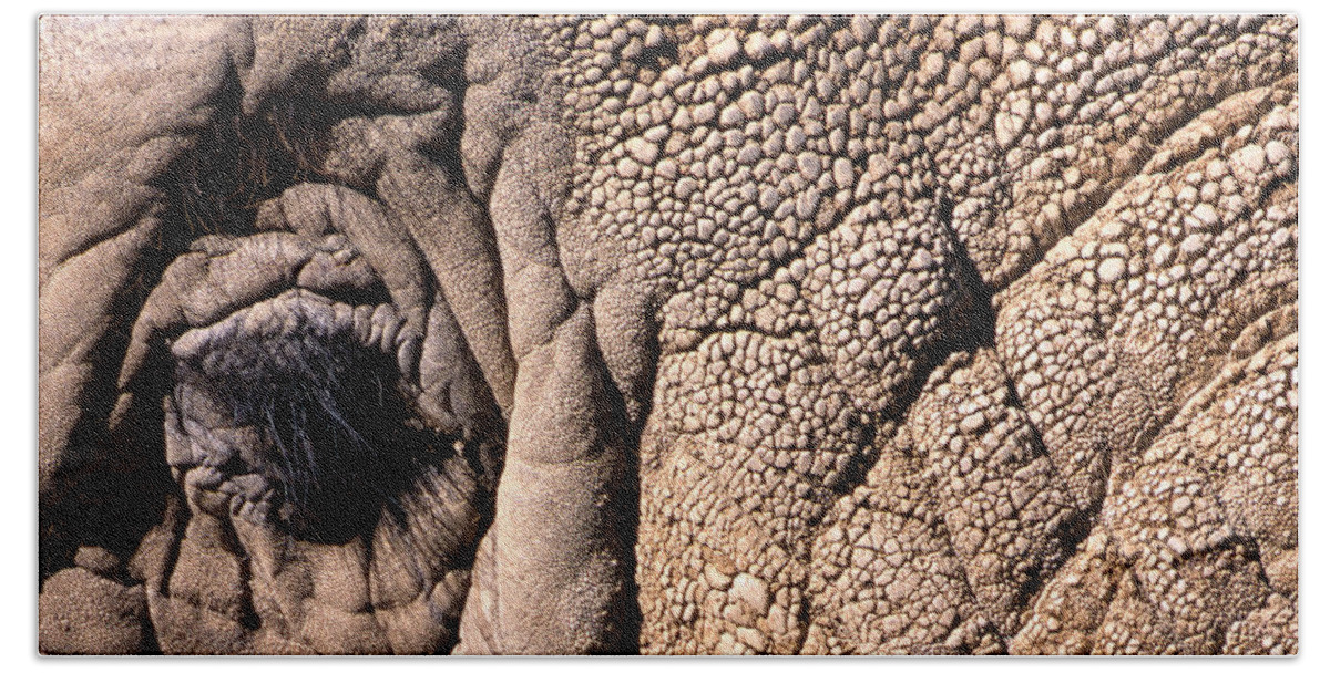 Animal Bath Towel featuring the photograph Elephant Eye Closeup by John Harmon