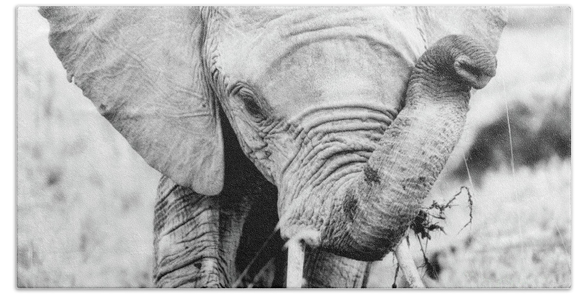 Elephant Bath Towel featuring the photograph Elephant portrait in black and white by Jane Rix