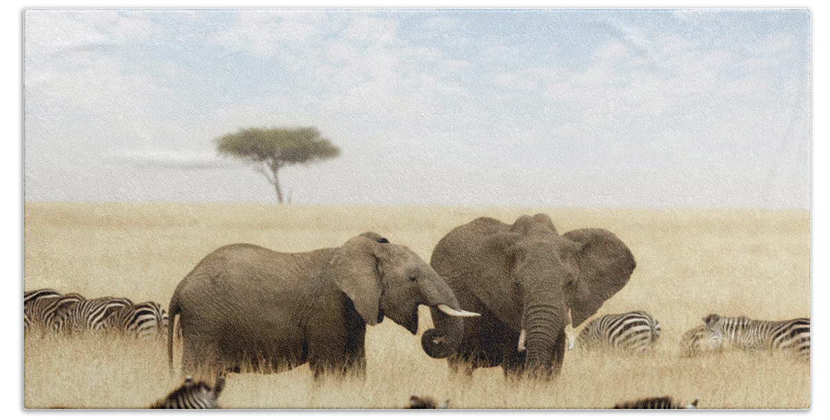 Elephant Bath Towel featuring the photograph Elephants and zebras in the grasslands of the Masai Mara by Jane Rix