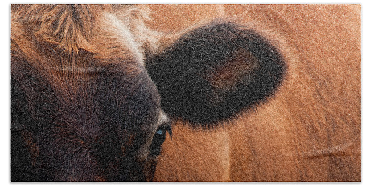 Animal Photography Bath Towel featuring the photograph Elsie's Ear by Ginger Stein