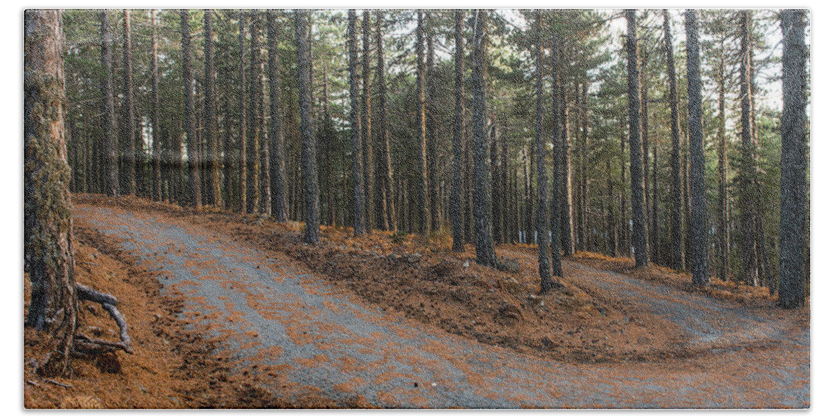 Forest Landscape Bath Towel featuring the photograph Empty road passing through the forest in Autumn by Michalakis Ppalis