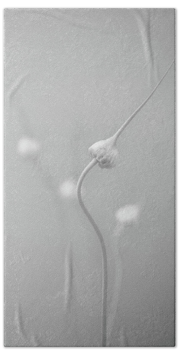 B&w Hand Towel featuring the photograph En Garde by Peter Scott