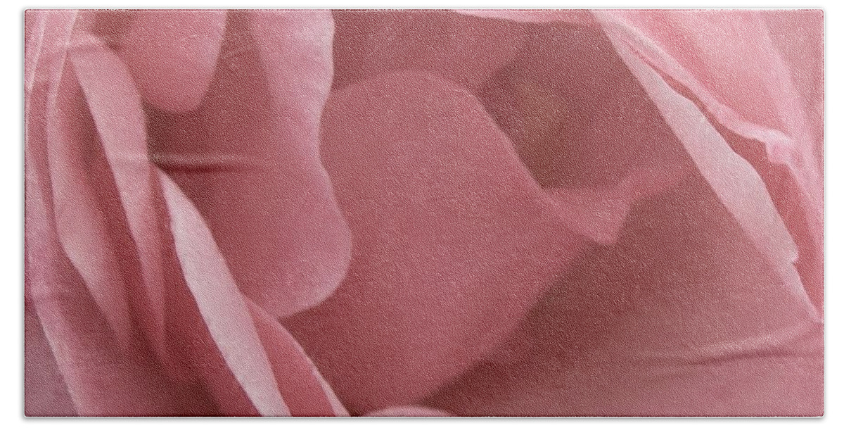 Rose Bath Towel featuring the photograph English Rose by Richard Brookes