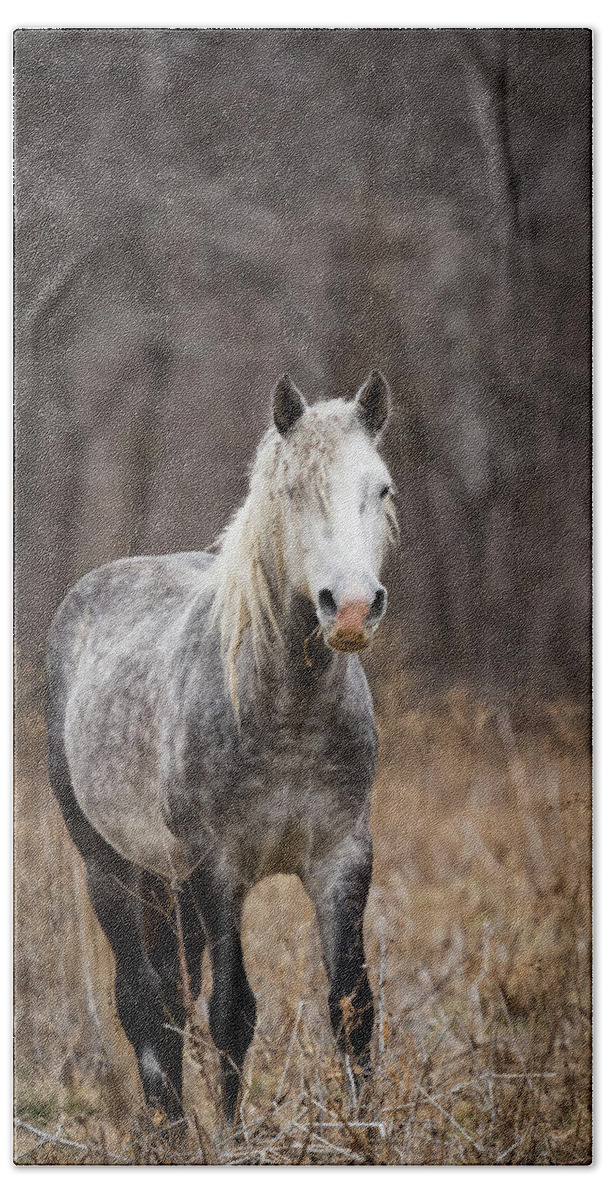Horse Hand Towel featuring the photograph Escape by Holly Ross