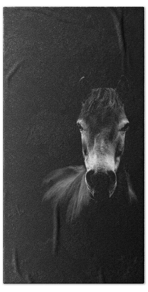 Exmoor Bath Sheet featuring the photograph Essence by Paul Neville