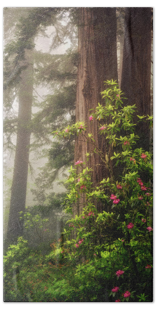 California Bath Towel featuring the photograph Ethereal by Nicki Frates