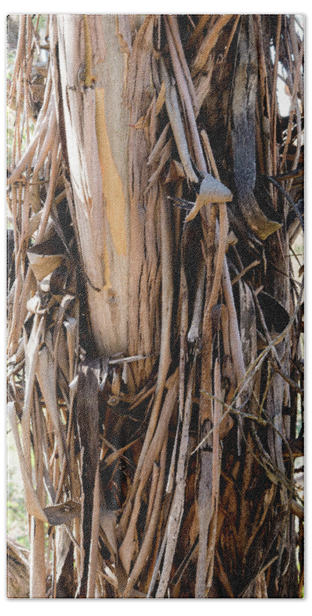 Canberra Bath Towel featuring the photograph Eucalyptus Bark - Australia by Steven Ralser