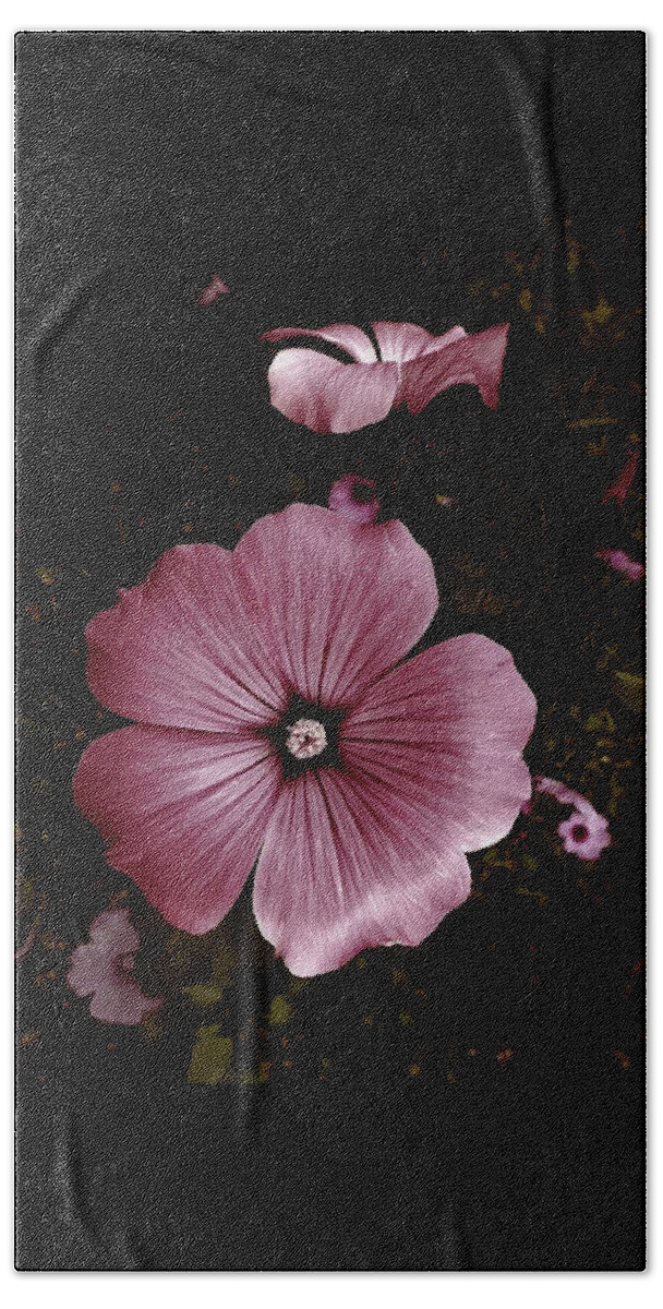 Flower Hand Towel featuring the photograph Evening Rose Mallow by Danielle R T Haney