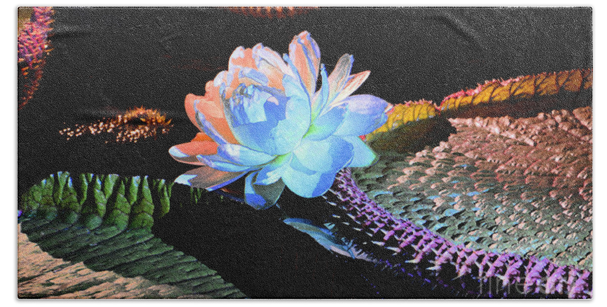 Flowers Hand Towel featuring the photograph Evening Splendor by Cindy Manero