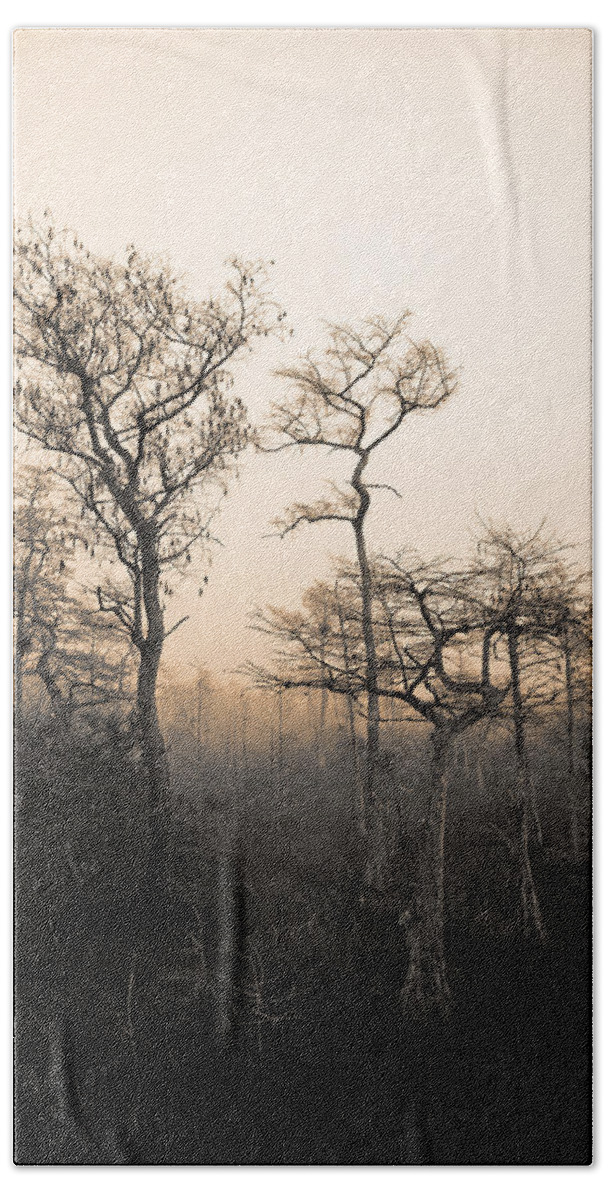 Cypress Swamp Bath Towel featuring the photograph Everglades Cypress Stand by Gary Dean Mercer Clark