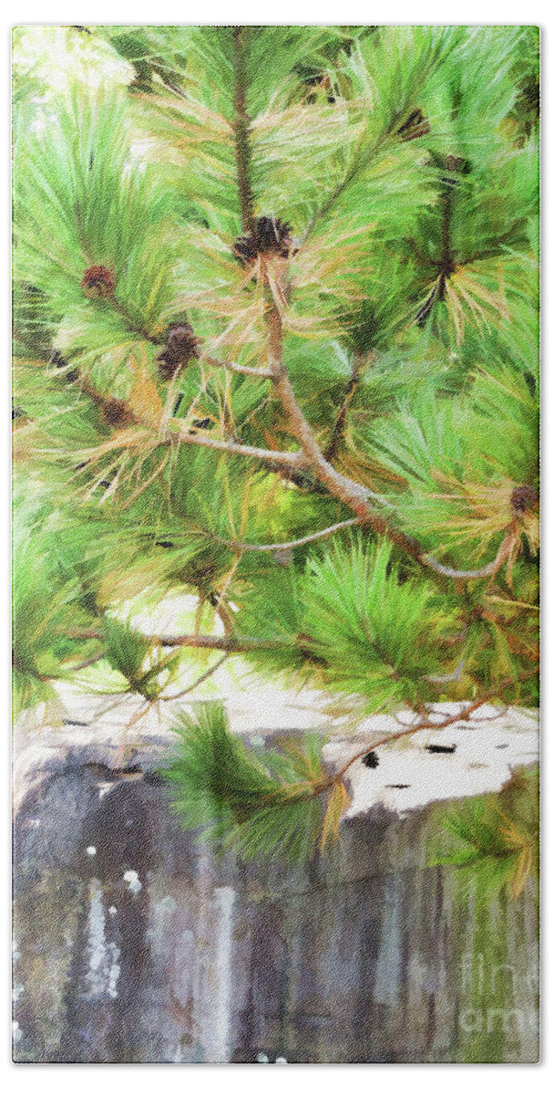 Evergreen-tree-branches-with-cones Bath Towel featuring the painting Evergreen tree branches with cones by Jeelan Clark