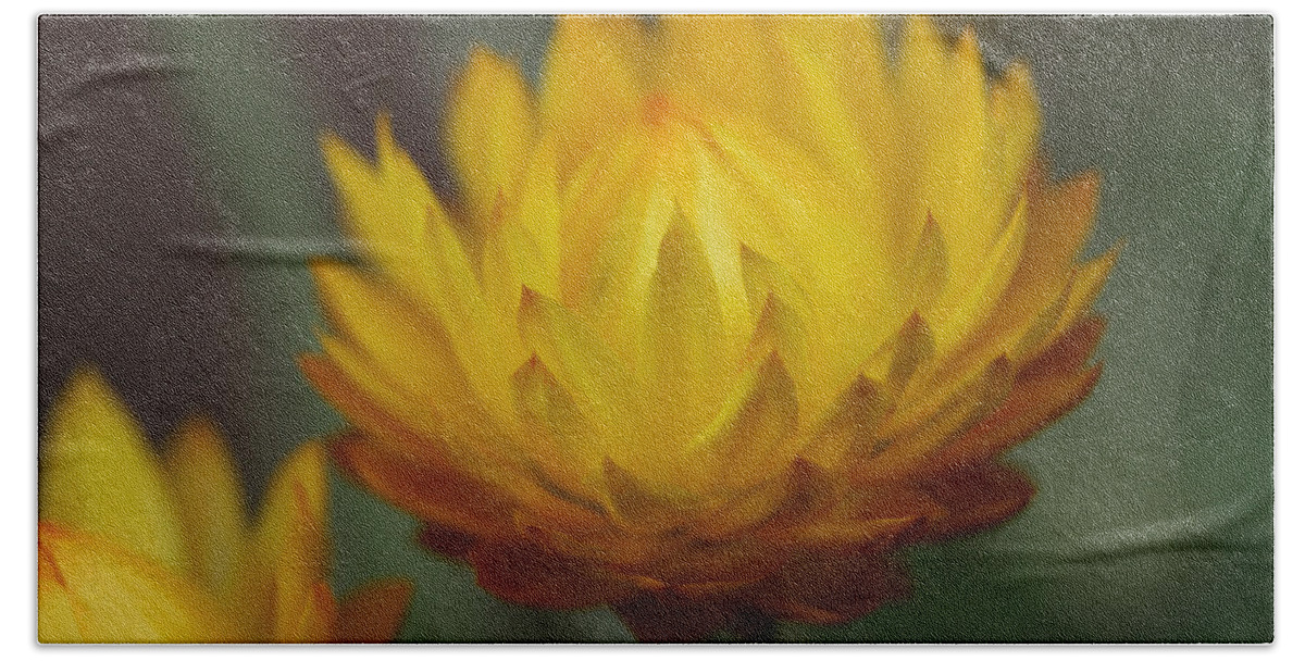 Strawflower Bath Towel featuring the photograph Everlasting by Connie Handscomb
