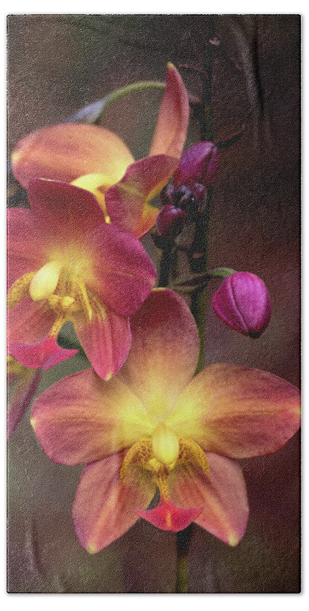 Orchids Bath Towel featuring the photograph Exotic Orchid 2 by Susan Rissi Tregoning